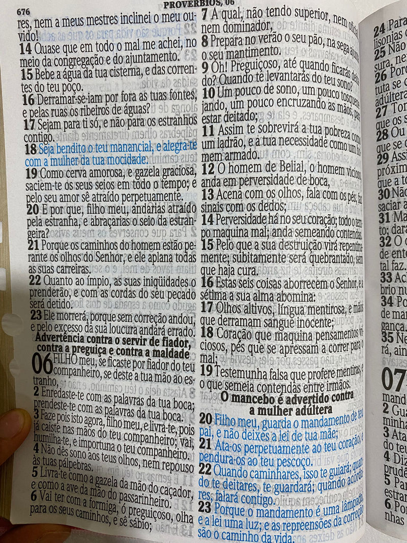 Bíblia Letra Jumbo Rosa Florida Promessas em Azul